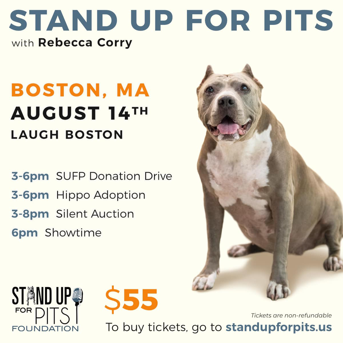 Stand Up Fpr Pits Boston